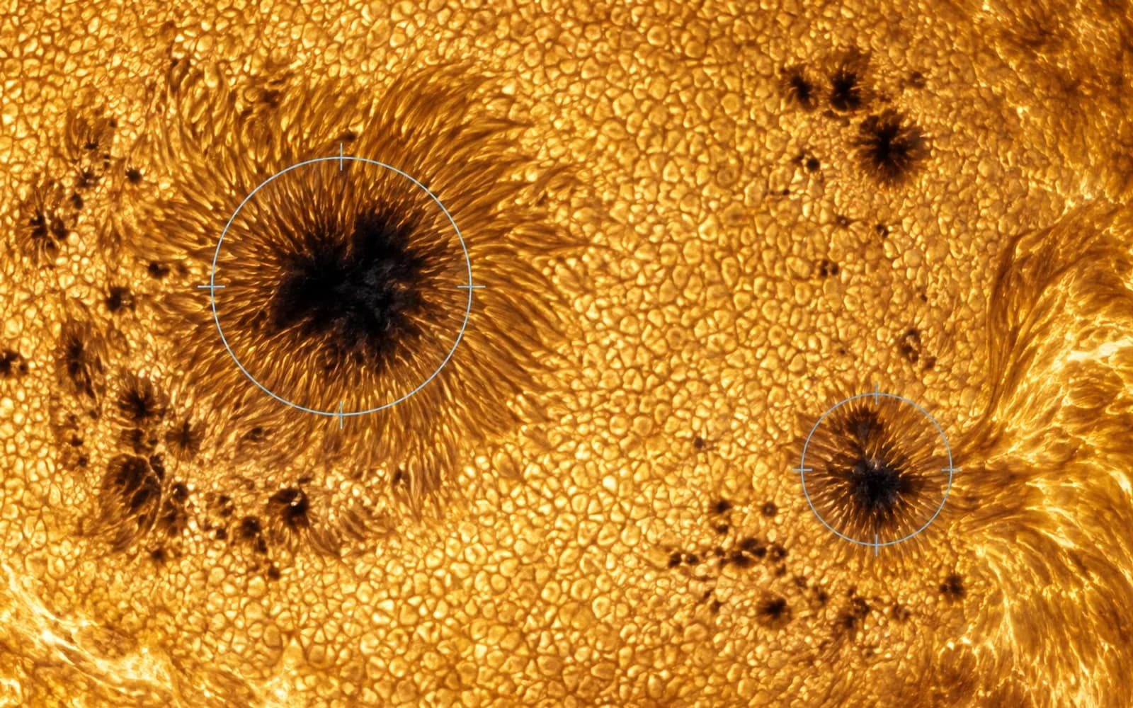 Illustration. A close view of the sun's granulated surface with two sunspots ringed by thin circular markers, one large with a visible penumbra and one small.